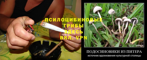 PSILOCYBIN Бронницы