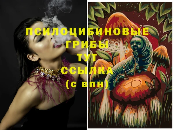 амф Сосновоборск