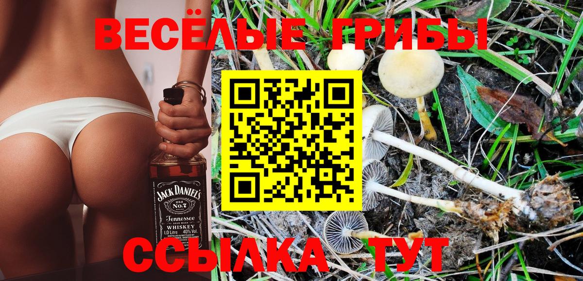 Галлюциногенные грибы Psilocybe  цена   Алапаевск 