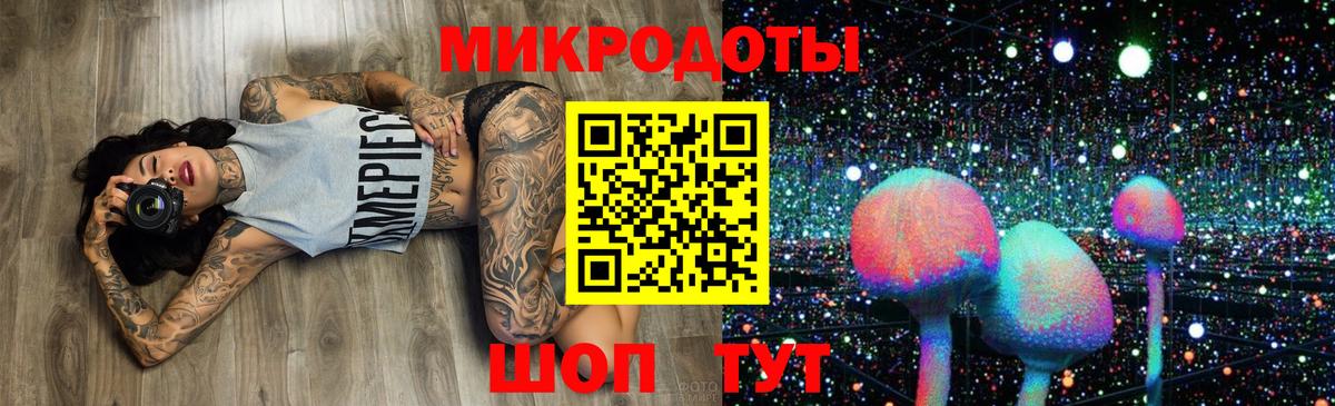 Галлюциногенные грибы Psilocybe Алапаевск