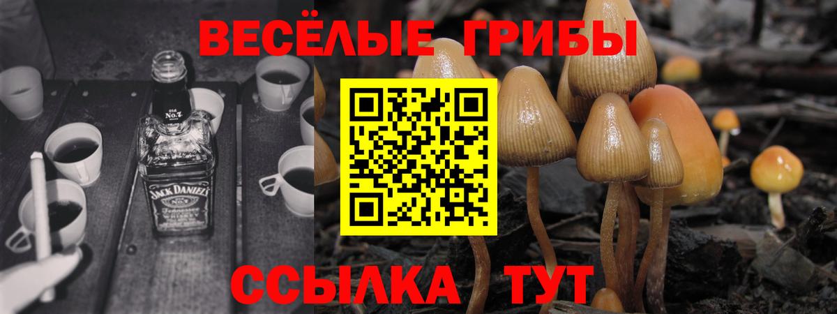 Псилоцибиновые грибы прущие грибы  Вход с VPN  Алапаевск 